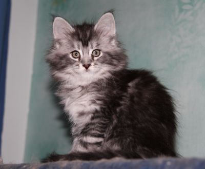 Cydonia <3